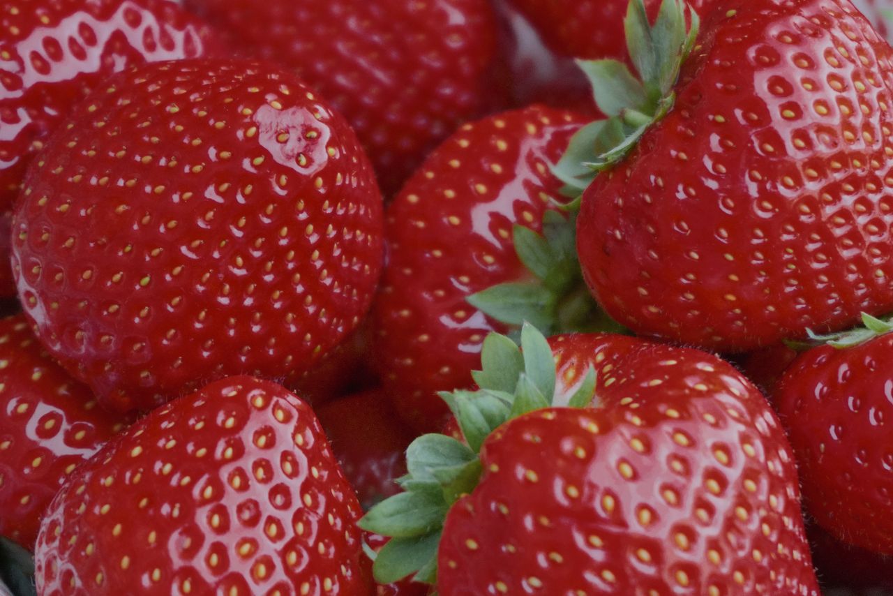 Strawberry Fields🍓.。*゚+.*.。 ゚+..。